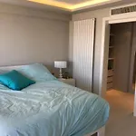 Cannes Seaview Penthouse