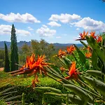 Villa 10 People With Private Pool Near Saint-Tropez