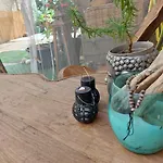 Naturetmer4