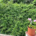 Villa Serenice - F2 Au Calme, Climatise, Wifi Et Parking Gratuit