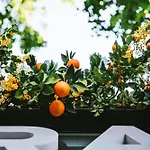 Grand Hotel De La Gare Toulon - Boutique Hotel