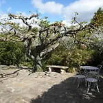 Appartement Giens
