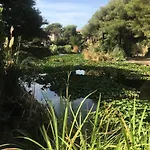 Residence Grand Large - Joli T2 Dans Le Domaine De La Coudouliere Avec Piscine Et Tennis Mae-9701