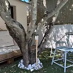 Charmant Mazet Avec Piscine Privee Proche Plage Et Commerces A Trois Mn A Pied A La Croix Valmer