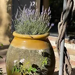 Maison De Charme Au Milieu Des Vignes Avec Jardin Et Parking A Gassin, Pres De Saint-Tropez
