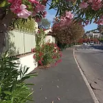Le Gite Des Palmiers