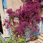 Appartement Hyeres : 2 Pieces, Jardin Prive, Proche Plage Et Port, Wifi, Parking - Fr-1-335-161