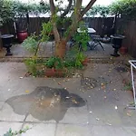 Little Garden