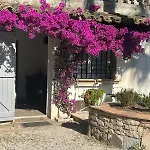 Les Palmiers