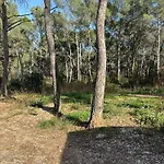 Pinede Carqueiranne