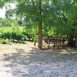 Les Bruns