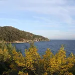 Studio Les Parfums De Mimosas