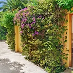 Mas De La Tour
