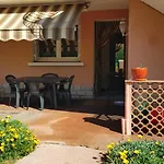 Appartement Bas De Villa Rez De Jardin