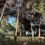 Villas Plages De La Nartelle- Sainte Maxime - Piscines Privees