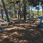 Le Sayula