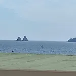 Le 