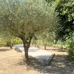 Villa Palmera