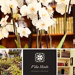 Villa Maolo