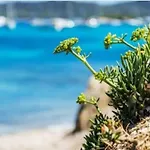 Studio Cosy Proche Plage, Le Lavandou - Fr-1-251-847