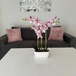 Appartement A Frejus Avec Piscine Et Terrasse