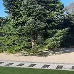 Meuble 2P 40 M2 Dans Villa Avec Piscine A Vallauris, 4 Km De La Mer