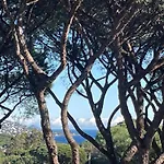 Tres Beau Duplex, 2 Chambres, Parking Prive, Plage A 5 Minutes