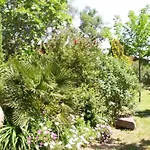 Joli Chalet En Bois