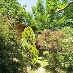 Joli Chalet En Bois