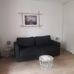 Appartement 30M2 Avec Jardin Et Piscine Chauffee A La Palmeraie Grimaud