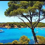 Appartement Bord De Mer La Faviere
