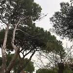 Maison Bord De Mer Climatisee La Capte , Hyeres