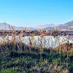 50 M2 - Le Port, Hyeres