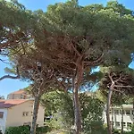 Appart Au Calme, Climatise, Avec Parking, 2 Pas Des Plages, Hyeres Le Port