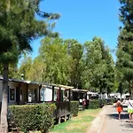 Mobil-Home Neuf 6 A 8 Pers Au Camping Les Palmiers, Hyeres