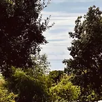 Mit Meerblick