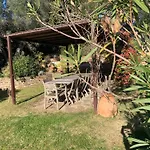 Villa A Gigaro Avec Piscine, Proche Plage - Fr-1-726-57