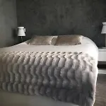 Elegant F2 With All Comforts In Center Of Cannes