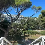 Studio Cannes Proche Plage