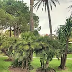 A Deux Pas Des Plages Piscine 346L Franchi