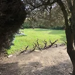 La Maison De Suzy