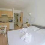 Comfortable Studio Terrace And Private Garden
