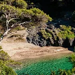 Villa Front De Mer Acces Plage Presqu'Ile De Giens-Sea And Mountain Pleasure