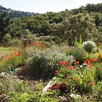 Gite Vue Sur Grimaud