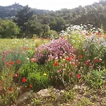 Gite Vue Sur Grimaud