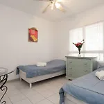 Bougainvillees