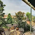 Ashley&Parker - Citronnier Terrasse