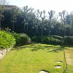 Elegant Villa Cannes Beautiful Garden