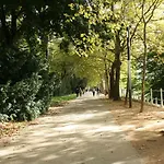 La Cure De Vichy Rue Callou