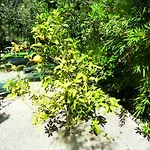 Villa La Jacaranda